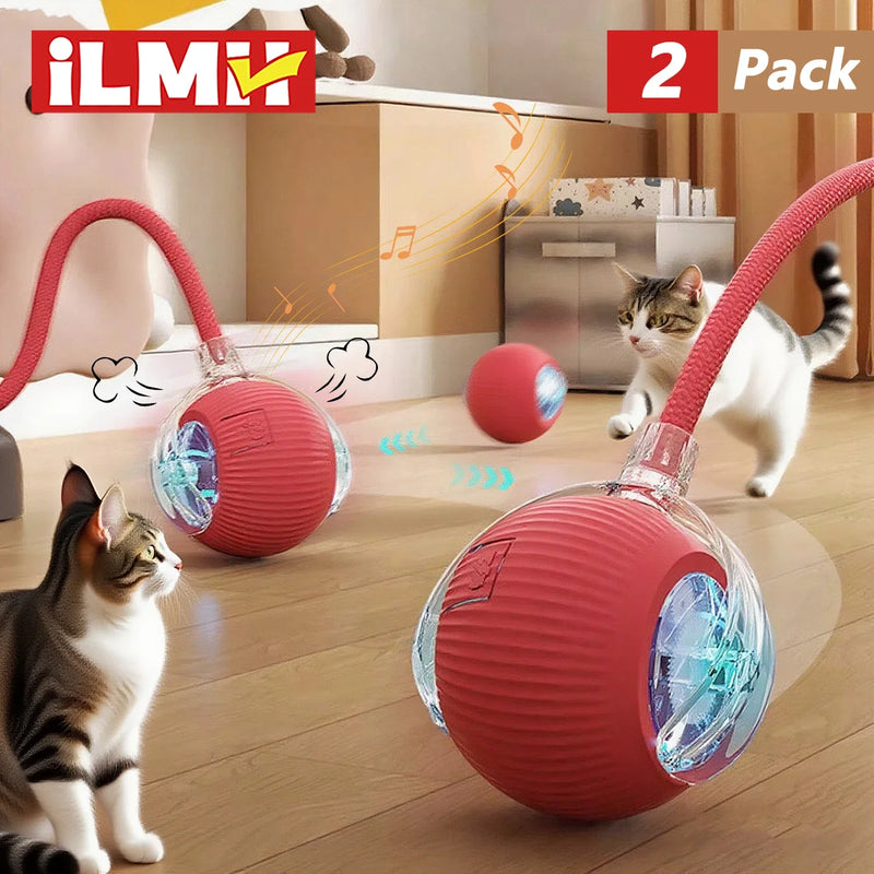 Cat Interactive Ball Toy