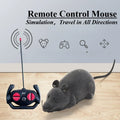 Remote Control Toy Mouse