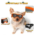 Pet Dog Goggles