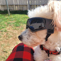 Pet Dog Goggles