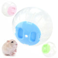 Pet Exercise Ball