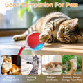 Cat Interactive Ball Toy