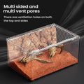 Transparent Reptile Terrarium