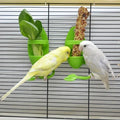 Bird Cage Feeder Holder