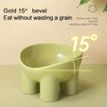 Elevated Cat Bowl with Stand