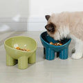 Elevated Cat Bowl with Stand