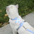 Cat Harness and Leash