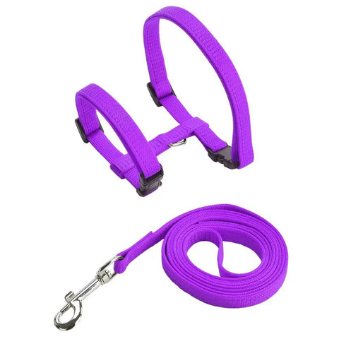 Cat Harness and Leash Set