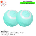 Cat Interactive Ball Toy