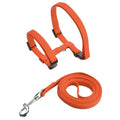 Cat Harness and Leash Set