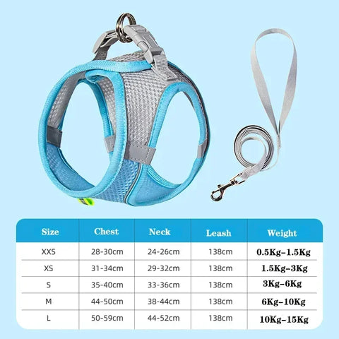 Adjustable Dog Harness Leash Set
