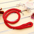 Dog Leash
