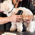 Pet Deshedding Brush