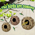 Hanging Grass Bird House