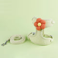 Cat Harness and Leash