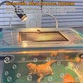 Reptile Heat Lamp