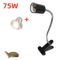 Reptile Heat Lamp Holder