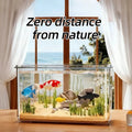 Desktop Glass Fish Tank