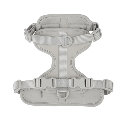 Dog Harness