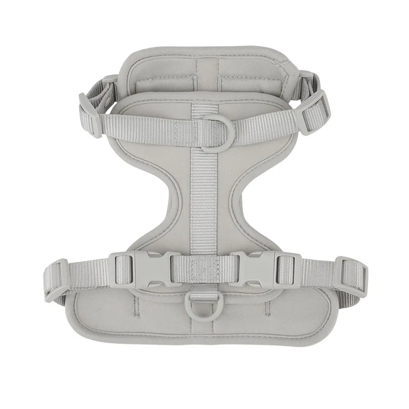 Dog Harness