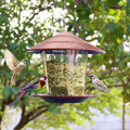 Hanging Bird Feeder
