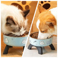 Elevated Stainless Steel Pet Bowl