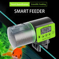 Automatic Fish Feeder