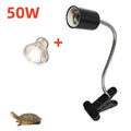 Reptile Heat Lamp Holder