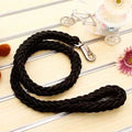 Dog Leash