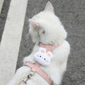 Cat Harness and Leash