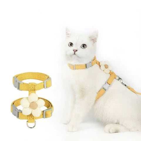 Cat Harness and Leash