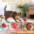 Cat Interactive Ball Toy