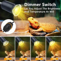 Reptile Heat Lamp